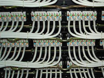 W(wng)j(lu)ڼͥxúmľW(wng)